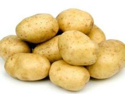 Сорт картоплі Удача