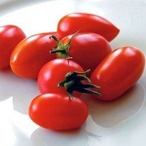 Сорт томатів Каспар