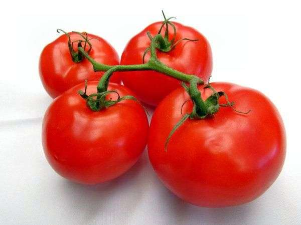 Сорт томатів Ультраскоростиглий