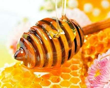 Лікувальні властивості меду
