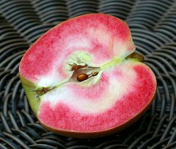 Сорт яблук Рожеві перли