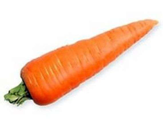 Морковь выращивание и уход